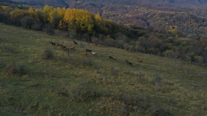 Сулакский каньон